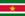 Suriname online basketball manager