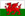 Basketball Wales